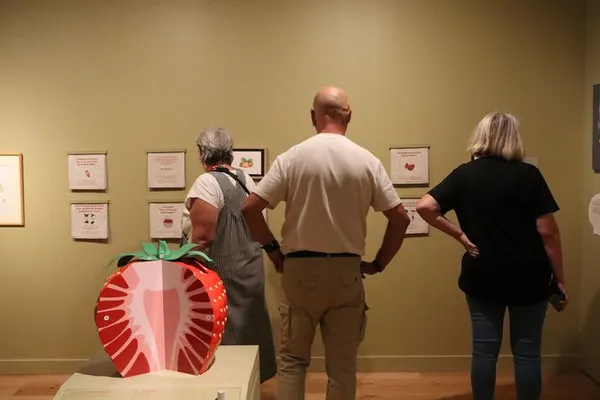 Visite du Musée du Pays Plougastel