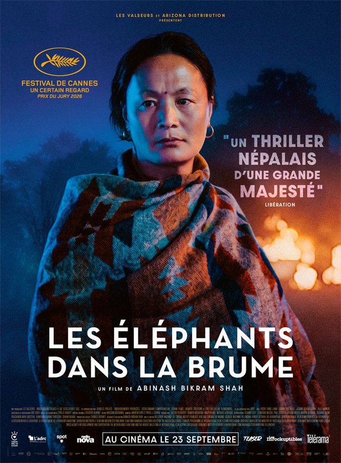 Les éléphants dans la brume