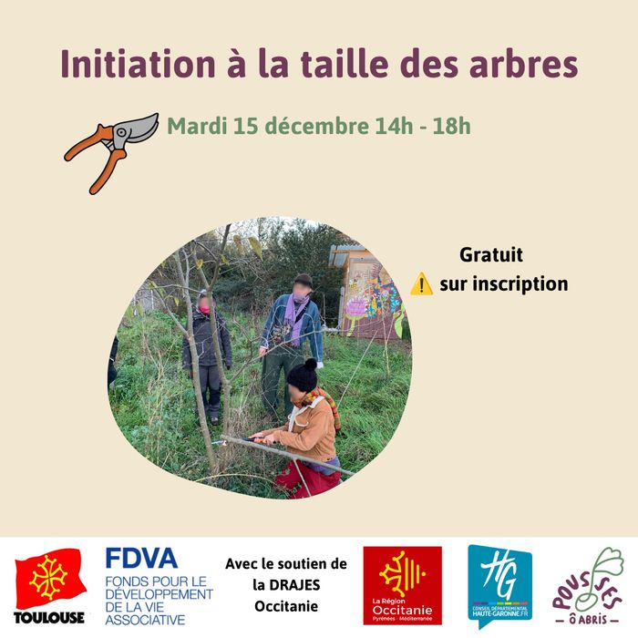 Initiation à la taille des arbres