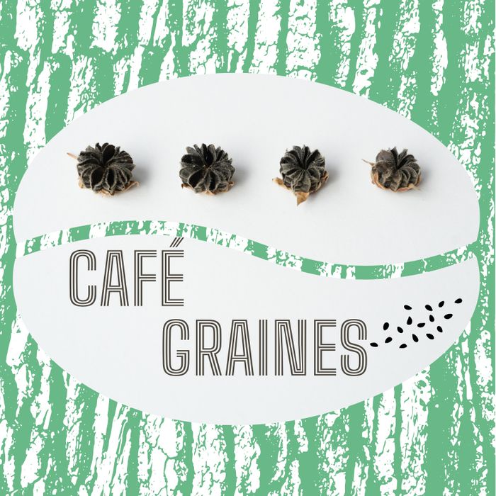 Café graines