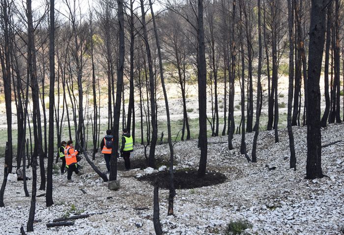 LA VIE APRÈS L'INCENDIE