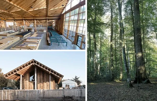 Expédition régionale en Sarthe • La Vallée du Loir autour des ressources forestières