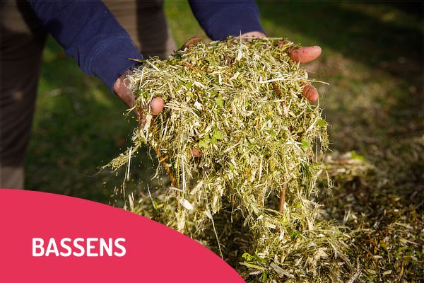 Broyage immédiat de vos déchets verts