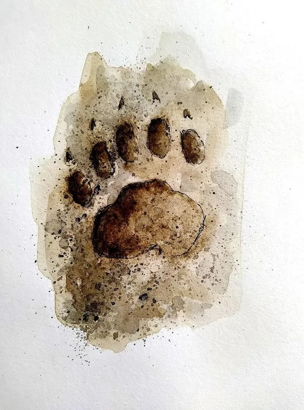Atelier Moulage d'empreintes animalières