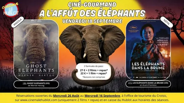 Ciné-gourmand - À l'affût des éléphants