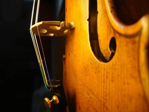 Découverte du métier de luthier - archetier