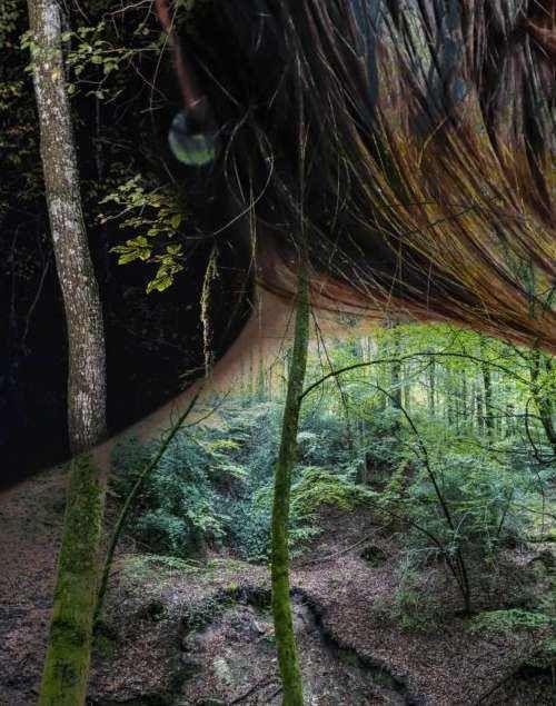 Rester sauvage : quand les corps renouent avec la terre