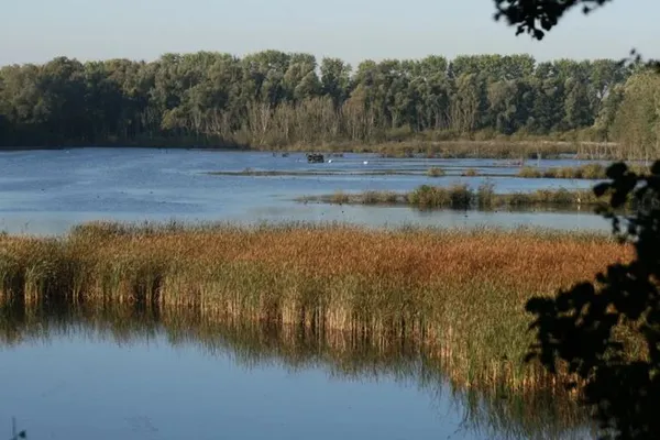 50 ans de la RNOP