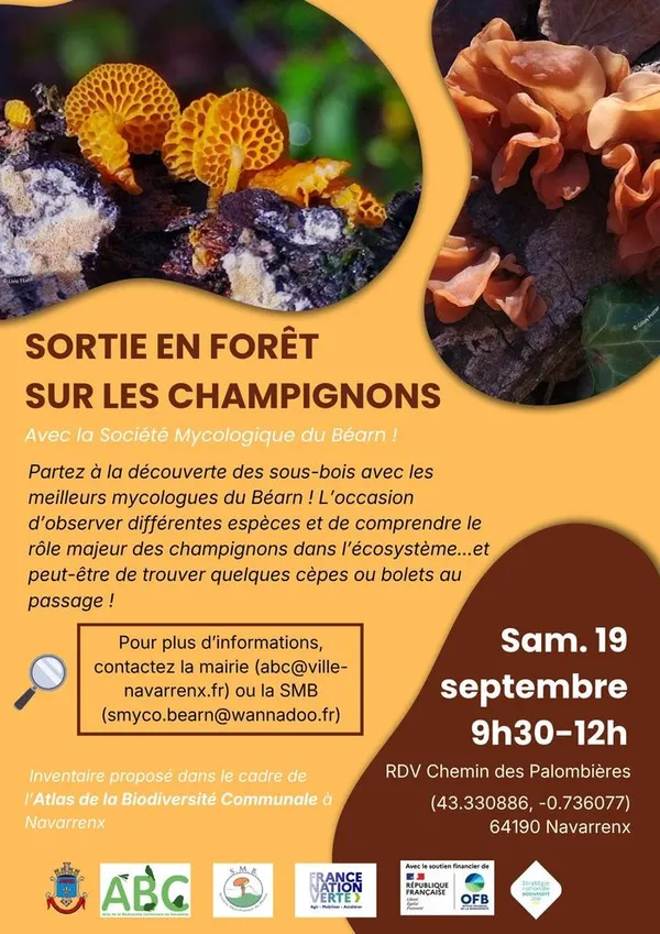 Sortie champignons