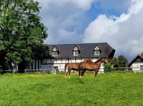 Week-end immersif au Haras de la Griserie