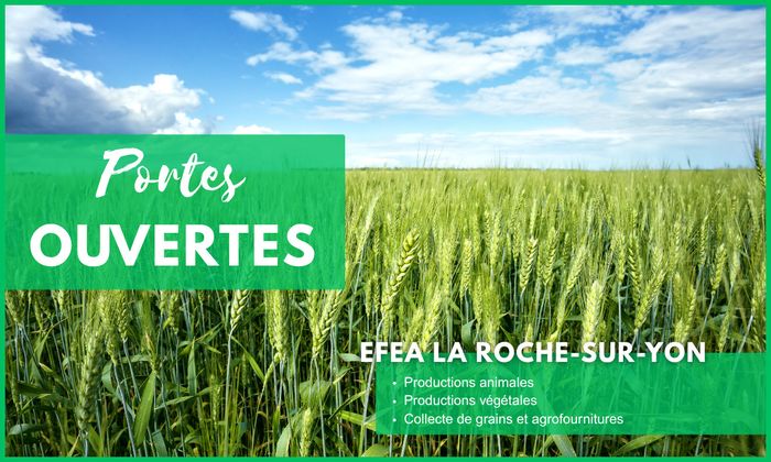 Portes Ouvertes EFEA 2026-2027 : La Roche-sur-Yon (85)