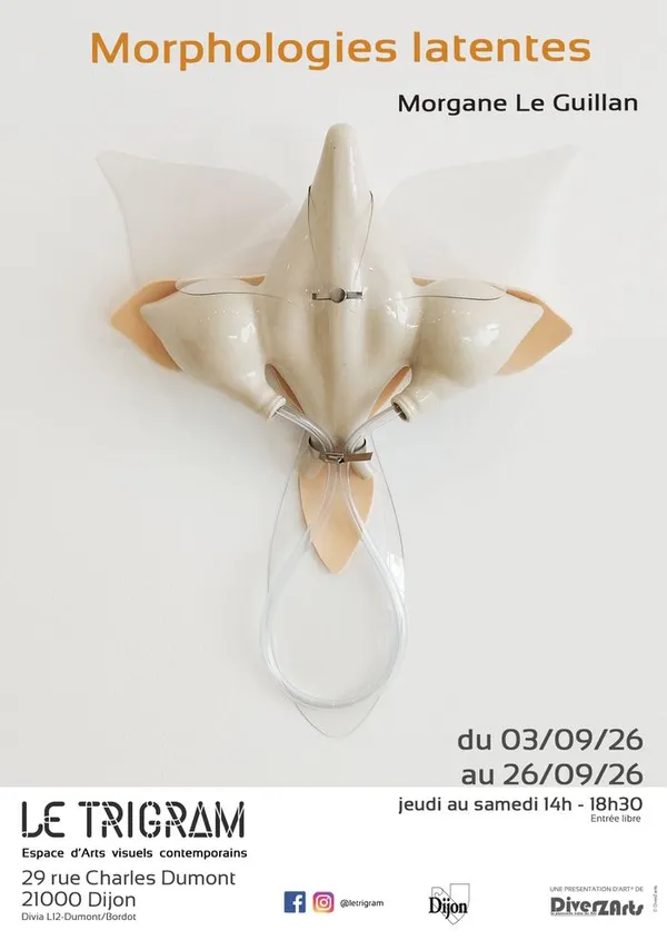 Morphologies latentes
