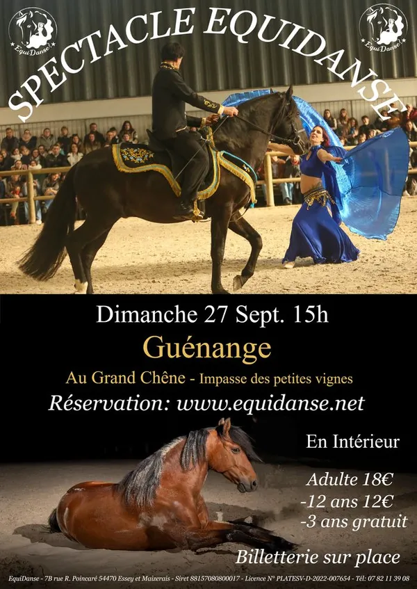 Spectacle EquiDanse