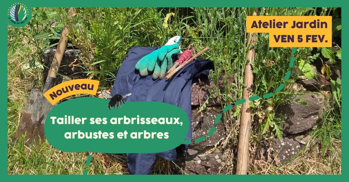 Atelier jardin : Tailler ses arbrisseaux, arbustes et arbres