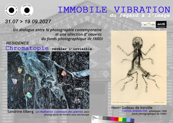 IMMOBILE VIBRATION
« Du Regard à l’Image »
Fin de RESIDENCE Sandrine Elberg et L'ARDI