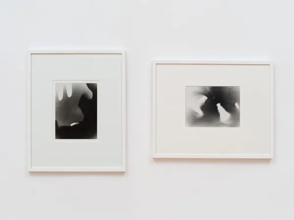 Visite libre :
Le musée de Rochechouart - Une collection qui questionne la photographie