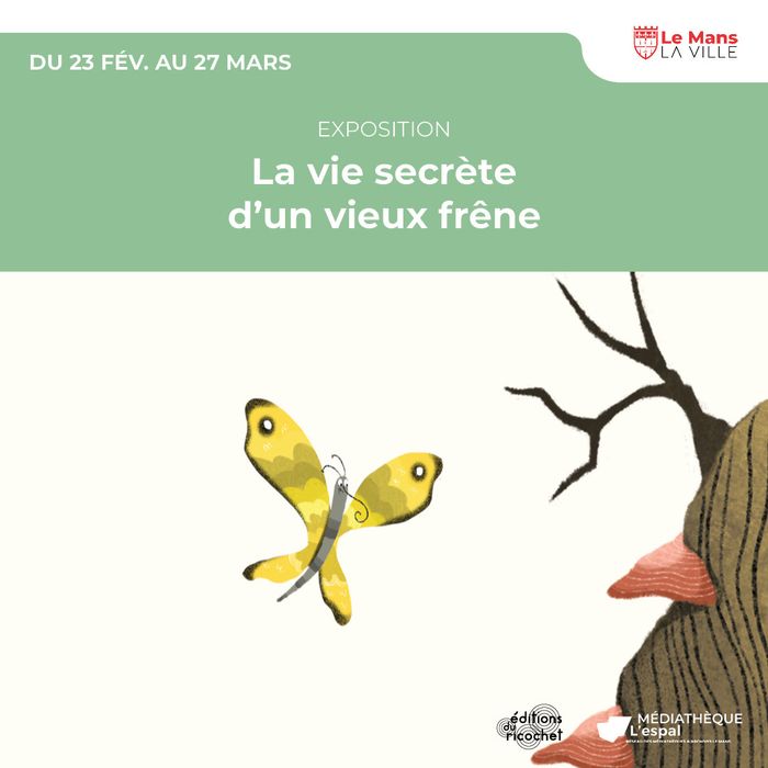 La vie secrète d’un vieux frêne