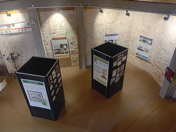 Exposition La Boldoflorine, l'usine et sa célèbre tisane