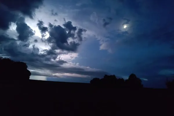 Sortie nocturne dans la forêt