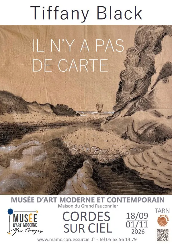 Il n'y a pas de carte