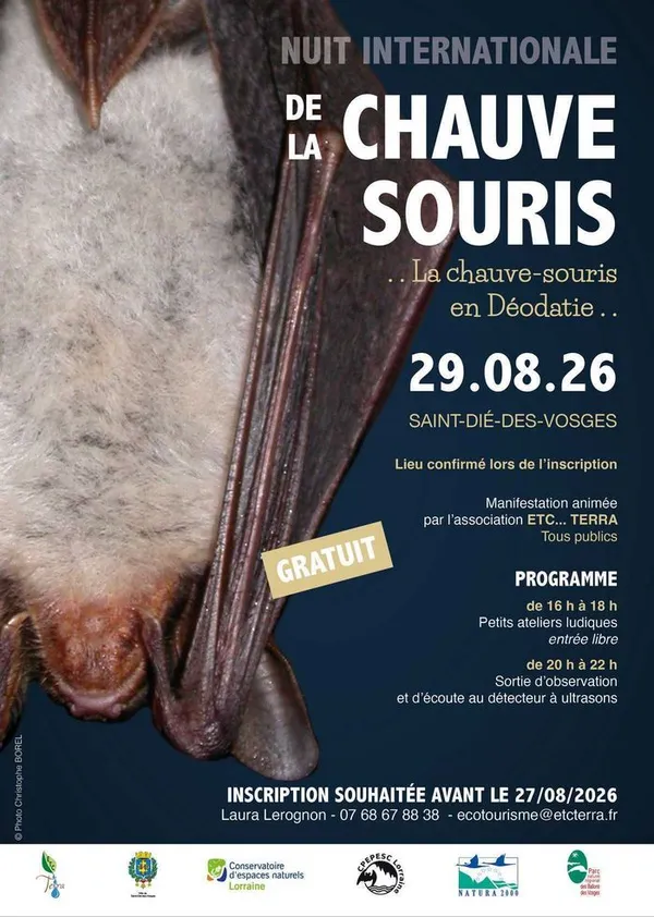 La chauve-souris en Déodatie