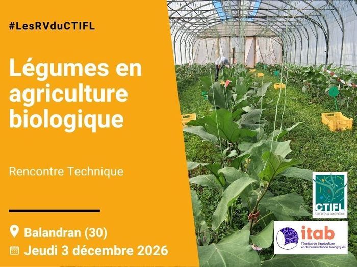 Rencontres Techniques légumes en agriculture biologique