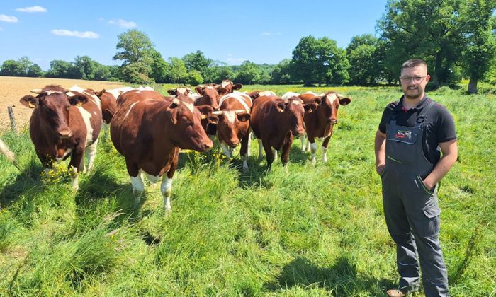 Installation-Transmission en viande bovine : les clés de réussite du projet et de son financement (53)