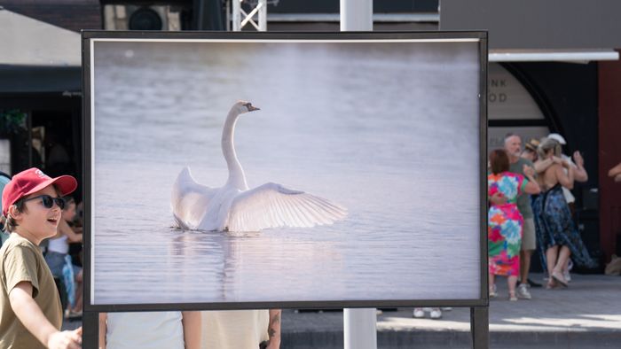 Exposition photographique sur le thème de l'eau