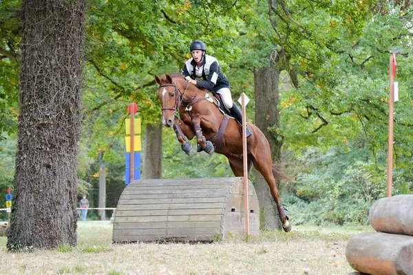 Derby cross et Pony Games au Lycée le Robillard