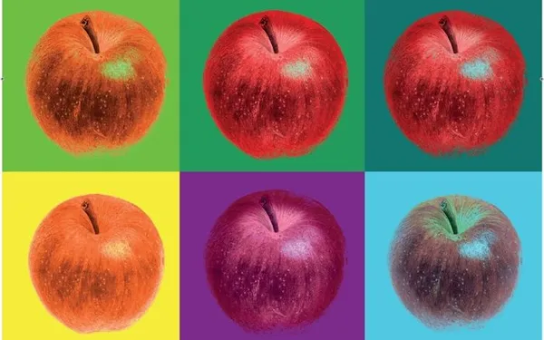 Exposition Pompompom Pommes !
