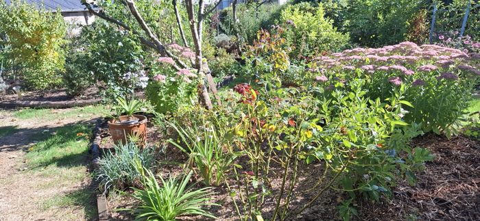 Le jardin de Madame Barth