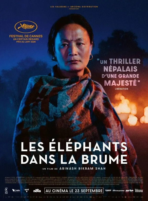 Les éléphants dans la brume