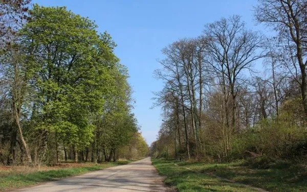 La nature au bois de Vincennes