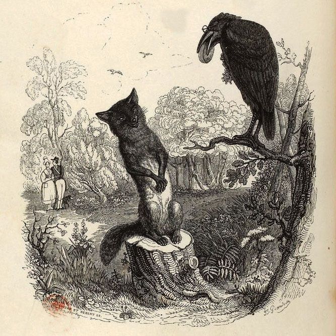 "Les corbeaux au sommet de l’intelligence et du comportement animal, pourquoi ?"