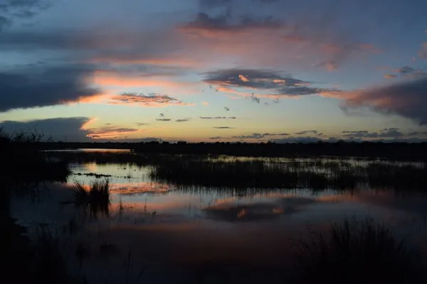 Visite guidée en zone humide de Camargue