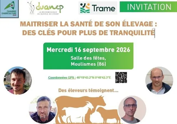 MAITRISER LA SANTÉ DE SON ÉLEVAGE : DES CLÉS POUR PLUS DE TRANQUILITÉ