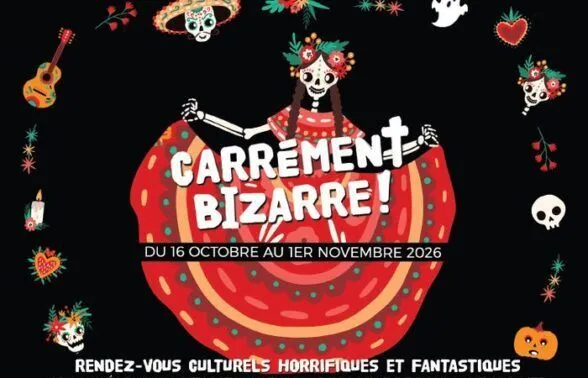 Lectures au coin du feu Carrément Bizarre