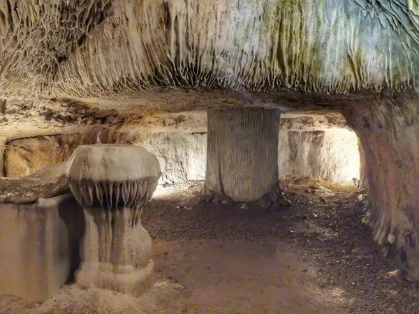 Visite libre de la grotte pétrifiante de Trôo