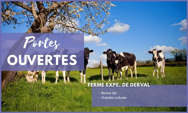 Portes Ouvertes EFEA 2026-2027 - Centre de Nantes (44)