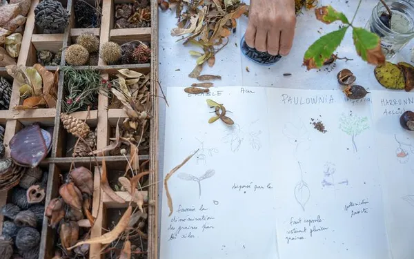 Fête des jardins : Paris Centre célèbre la nature en ville !