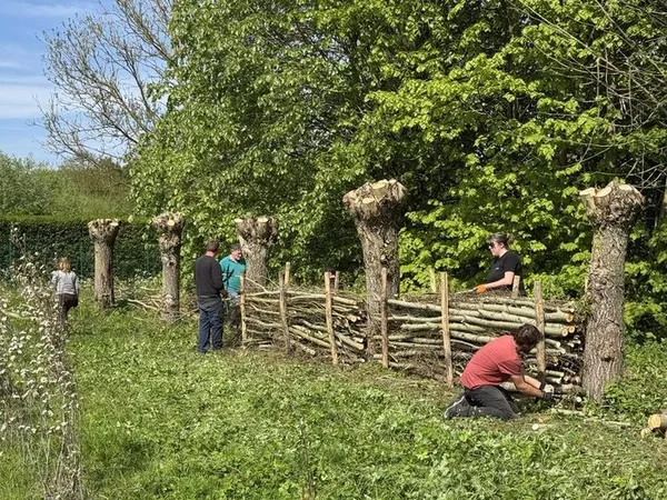 Réalisation d’une haie sèche au Parc Archéologique Asnapio