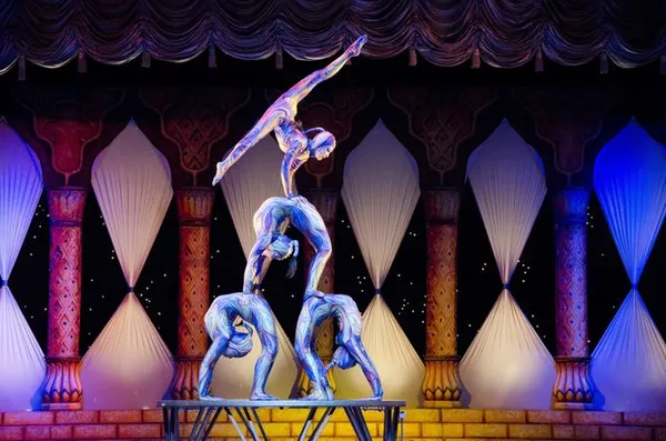 Stage - Cirque et acrobaties