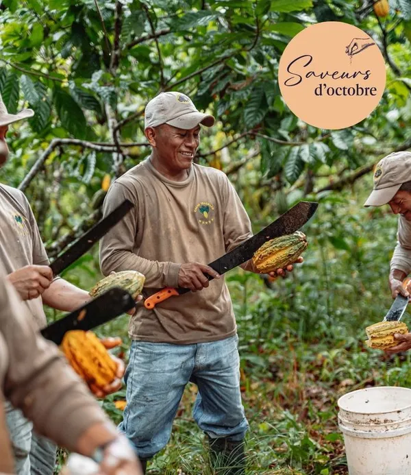 Atelier découverte du métier d'un chocolatier-planteur - Saveurs d'octobre