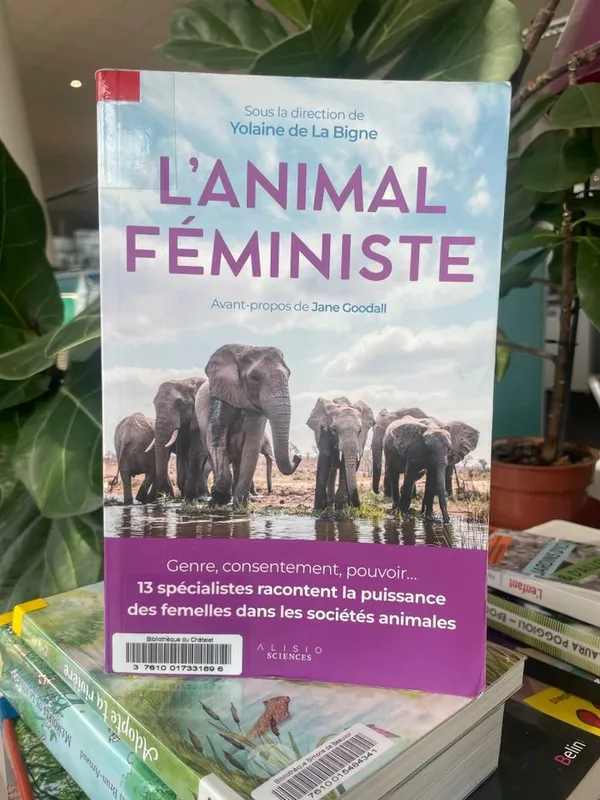 Table ronde : L'animal féministe
