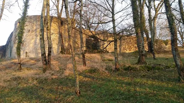 Visite du Château de Beaufort