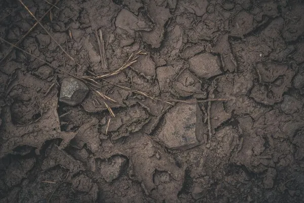 Atelier de découverte de la nature : sous la surface