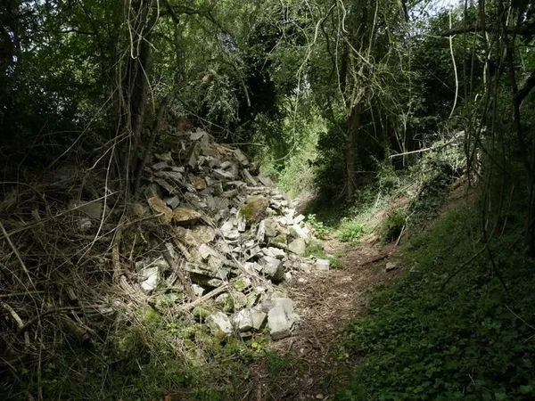 Chantier participatif au Montoir du Creux Chemin