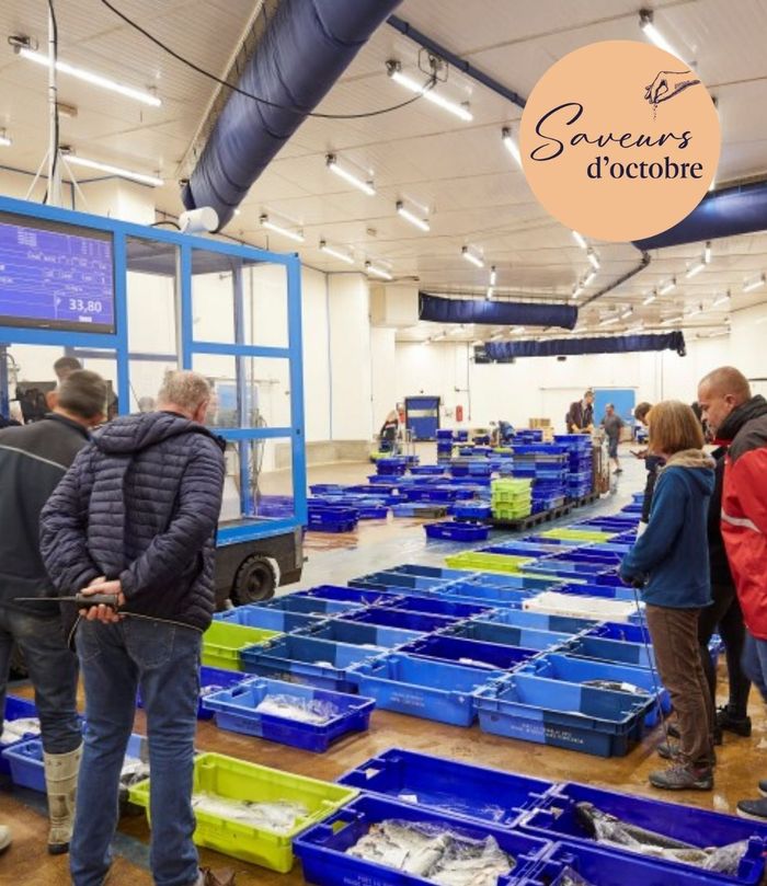Visite de la Criée - Saveurs d'octobre