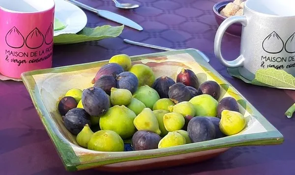 Un petit-déjeuner au verger