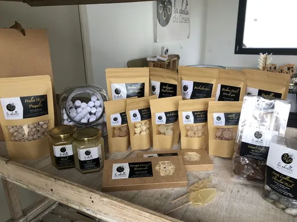 À la découverte des abeilles du Corsen
